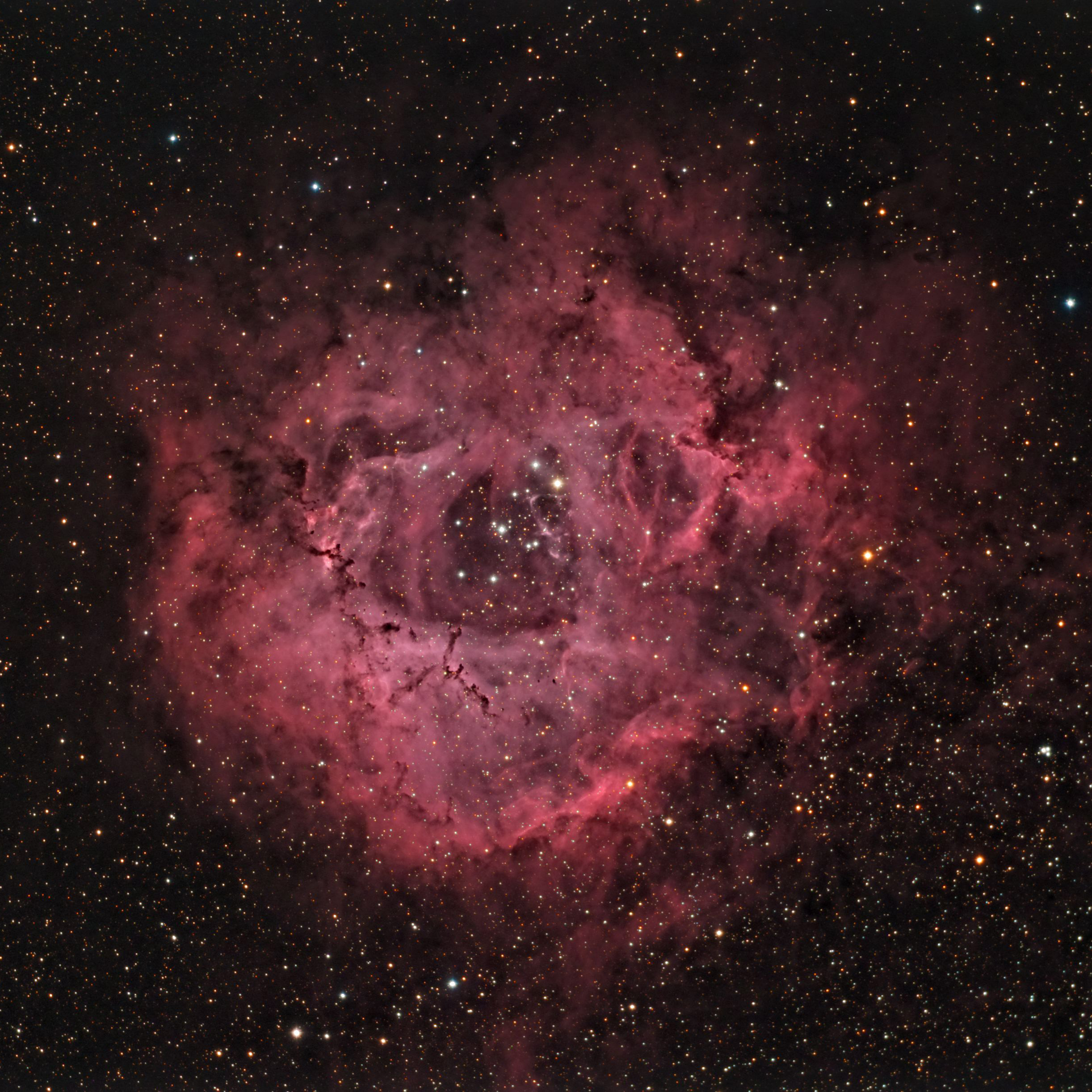 NGC2244 NGC2244