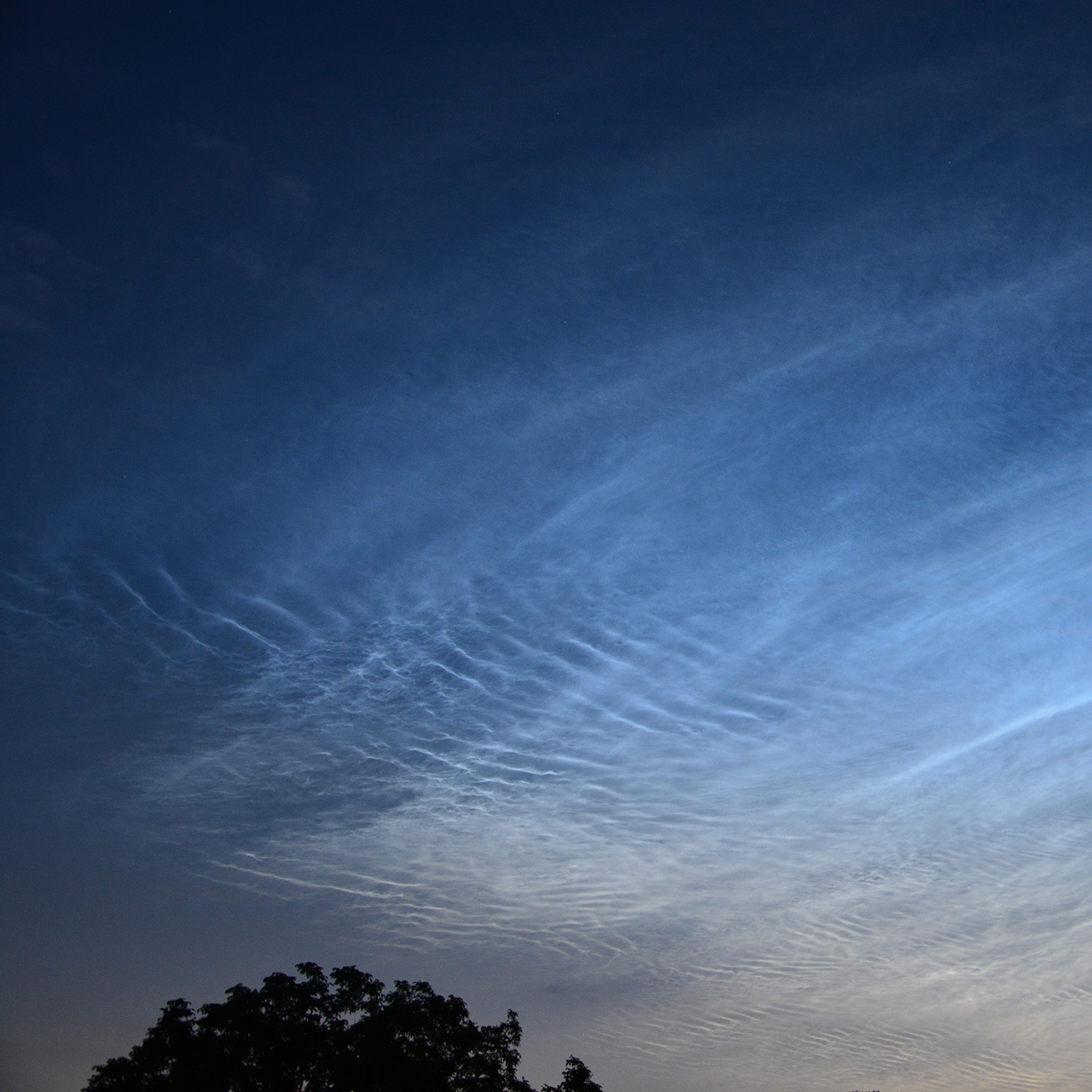NLC NLC